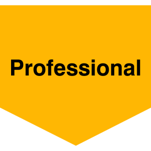 Professional