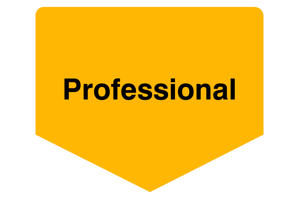 Professional